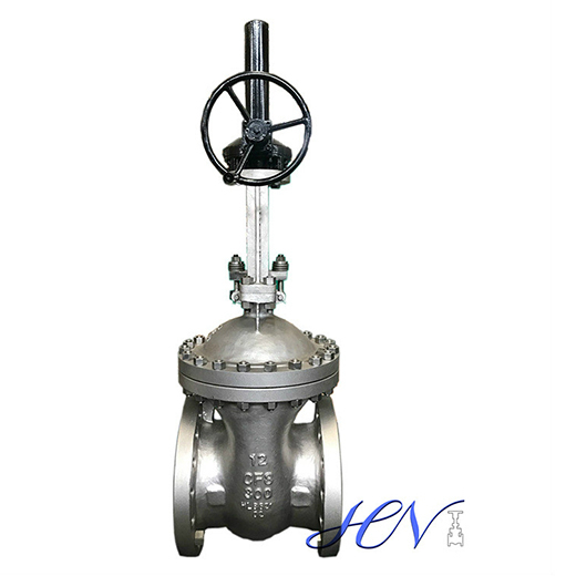 Stainless Steel Flanged Gear Operated Flexible Wedge Gate Valve