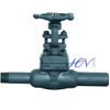 Forged Carbon Steel Gas Solid Gate Valve With Nipples 