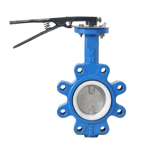 Lug Type Cast Iron Wrench Concentric Butterfly Valve