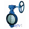 Cast Iron Wafer Type Concentric Worm Gear Operated Butterfly Valve
