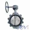 Ductile Iron Lug Type Gear Operated Water Centric Butterfly Valve