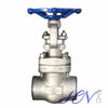 Bolted Bonnet Forged Stainless Steel Socket Welded Gate Valve